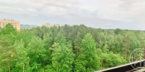 Студия Ломоносов г., Михайловская ул. ,  д. 51