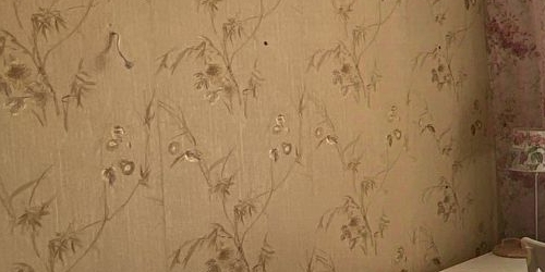 2-комн квартира Будапештская улица, 98К1