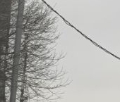 Продать Квартиры вторичка 1-я Дубровская улица, 2БК1   