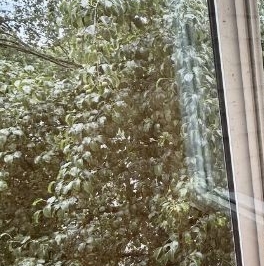 Продажа 3-комн квартиры на вторичном рынке Пушкин, бульвар Алексея Толстого, 9 Продажа 3-комн квартиры на вторичном рынке Пушкин, бульвар Алексея Толстого, 9