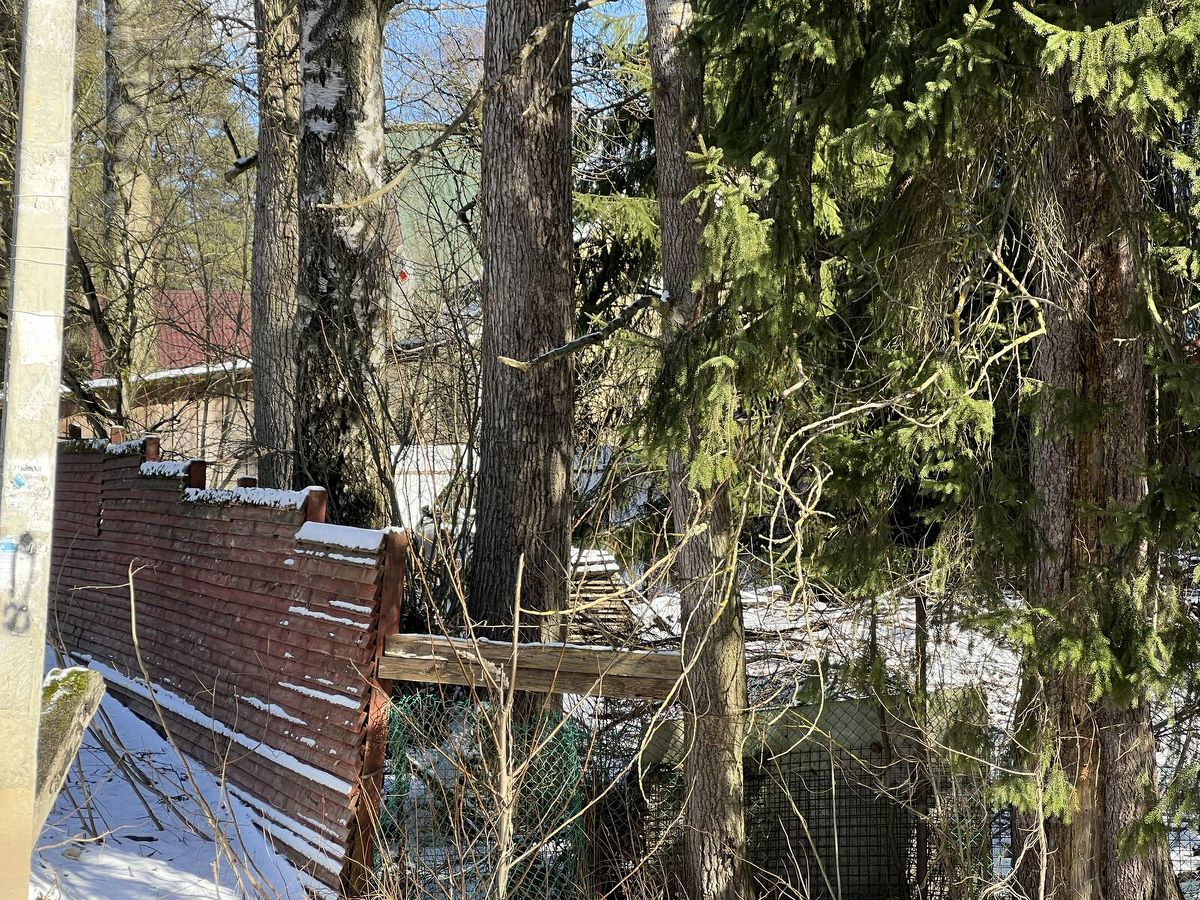 Продажа земли Всеволожск, 1-я линия