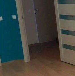 Аренда 1-комн квартиры на вторичном рынке Мурино, Новая улица, 15 Аренда 1-комн квартиры на вторичном рынке Мурино, Новая улица, 15