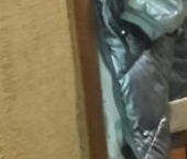 Продать Квартиры вторичка Россошанская улица, 3К2А   