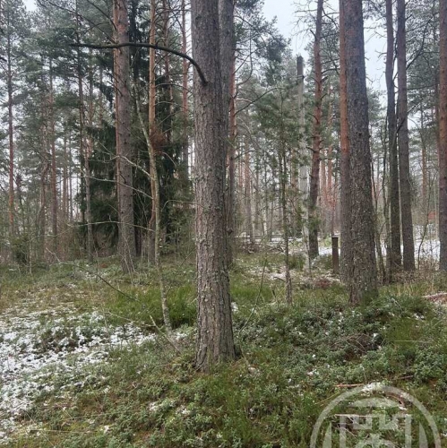 Земельный участок Солнечное пос., Петровская ул.