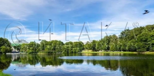 Торговое помещение КИМа,  д. 6