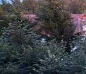 Продать Квартиры вторичка пос. Репино, Песочная улица, 10   