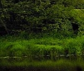 Продать Земельные участки, земля д. Слапи, улица Центральная   