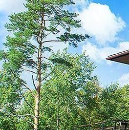 Продажа дома пос. Солнечное, улица Танкистов, 2