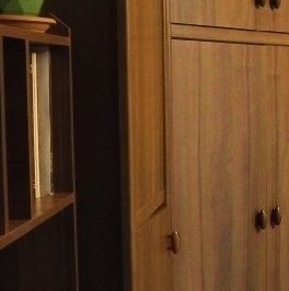 Продажа 2-комн квартиры на вторичном рынке Петергоф, Разводная улица, 37