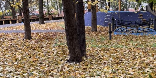 Комната Лесная улица, 61с2