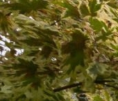 Продать Квартиры вторичка улица Красуцкого, 3М   