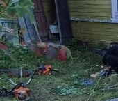 Продать Дачи, коттеджи, загородные дома пос. Шугозеро, улица Больничная, 7   