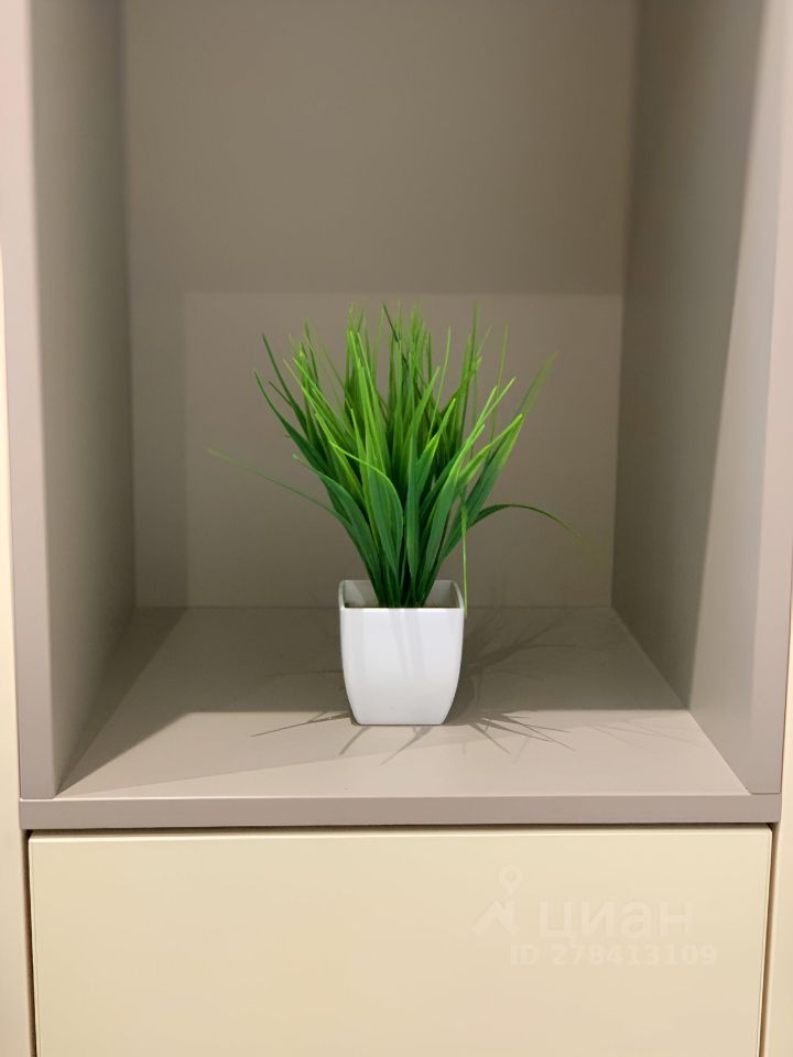 Аренда студии д. Глухово, улица Романовская, 19