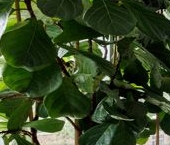 Продать Квартиры вторичка улица Советской Армии, 6   