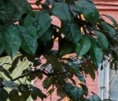 Сдать в аренду Квартиры вторичка улица Казакова, 3С4   