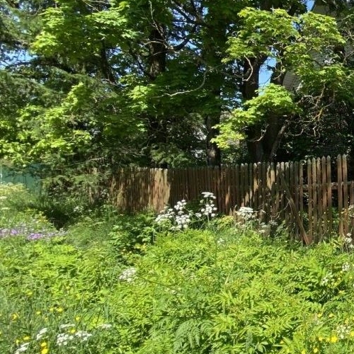 Коттедж/дом Сергиево тер., улица Паровозная, 29