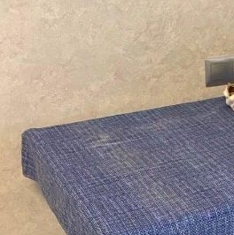 Аренда студии Кудрово г., улица Английская, 2 Аренда студии Кудрово г., улица Английская, 2