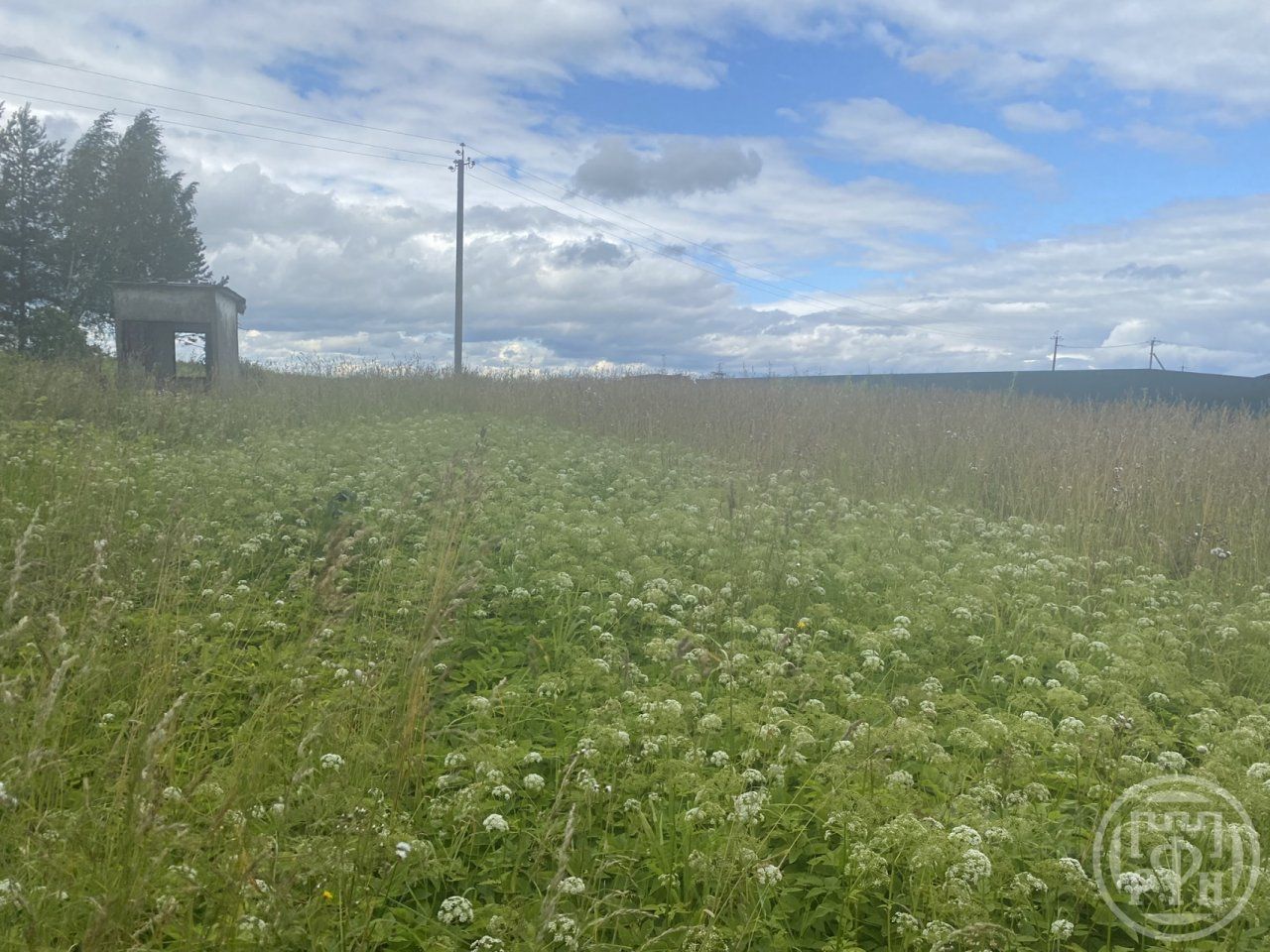 Продажа земли д. Югостицы, 8