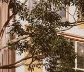 Продать Квартиры вторичка проспект Крузенштерна, 13   