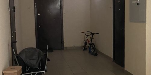 2-комн квартира Колпино, шоссе Вознесенское, 49к2