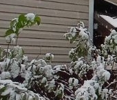 Продать Дачи, коттеджи, загородные дома Зеленогорск, переулок 1-й Путейский, 5   