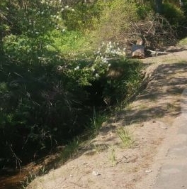 Продажа дома с. Паша, улица Вокзальная, 20