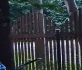 Продать Дачи, коттеджи, загородные дома д. Луйсковицы, 23   