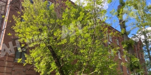 Офис Матросская Тишина ул,  д. 23