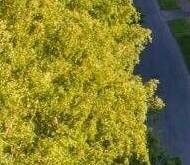 Продажа квартиры на вторичке Петергоф, Фабричная улица, 3