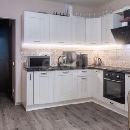 Продажа 1-комн квартиры на вторичном рынке Плесецкая ул