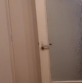 Аренда 1-комн квартиры на вторичном рынке Всеволожск, улица Дружбы, 4к3