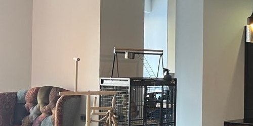 4-комн квартира Ружейный переулок, 3