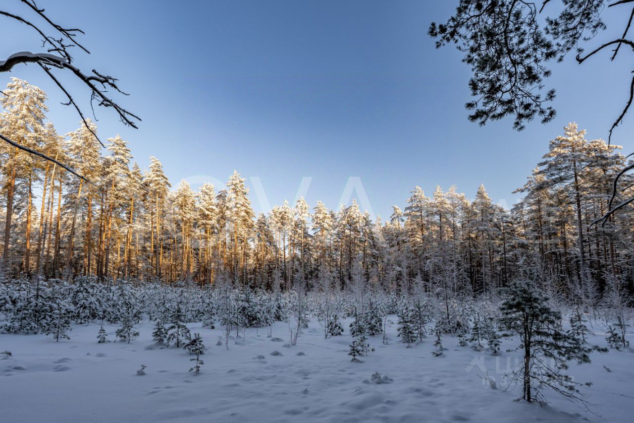 Продажа земли пос. Комарово, проспект Лесной