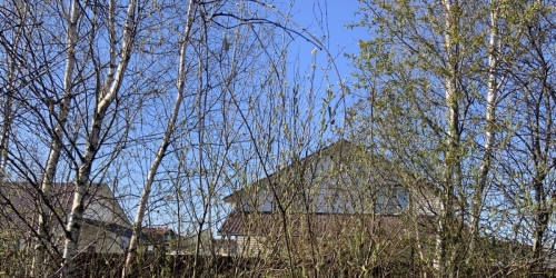 Земельный участок Сестрорецк г., Муромцева пр.,  д. 1