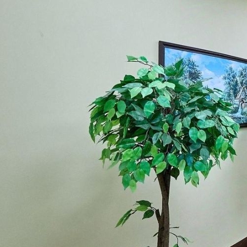 1-комн квартира Сертолово, улица Верная, 3к2