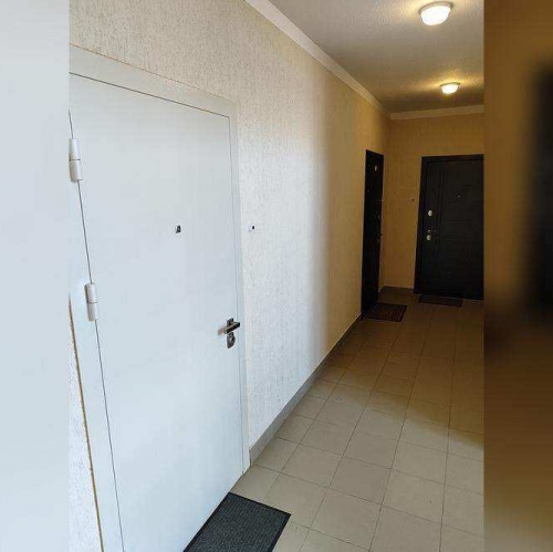 Студия Петергоф, Парковая улица,  д. 18,  к. 5 стр 1