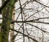 Продать Квартиры вторичка улица Орбели, 27К3   