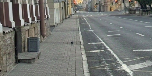 Торговое помещение Вознесенский пр-кт,  д. 33