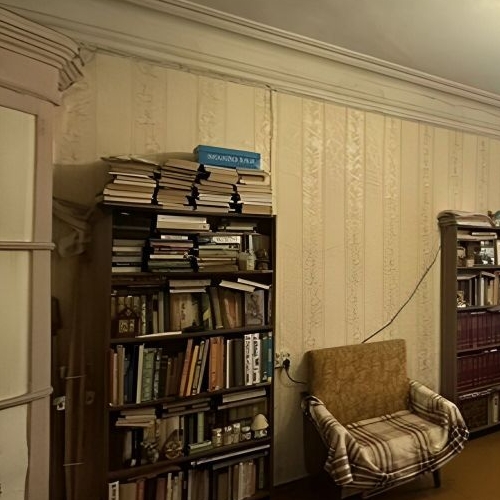 2-комн квартира Большая Пушкарская улица, 17