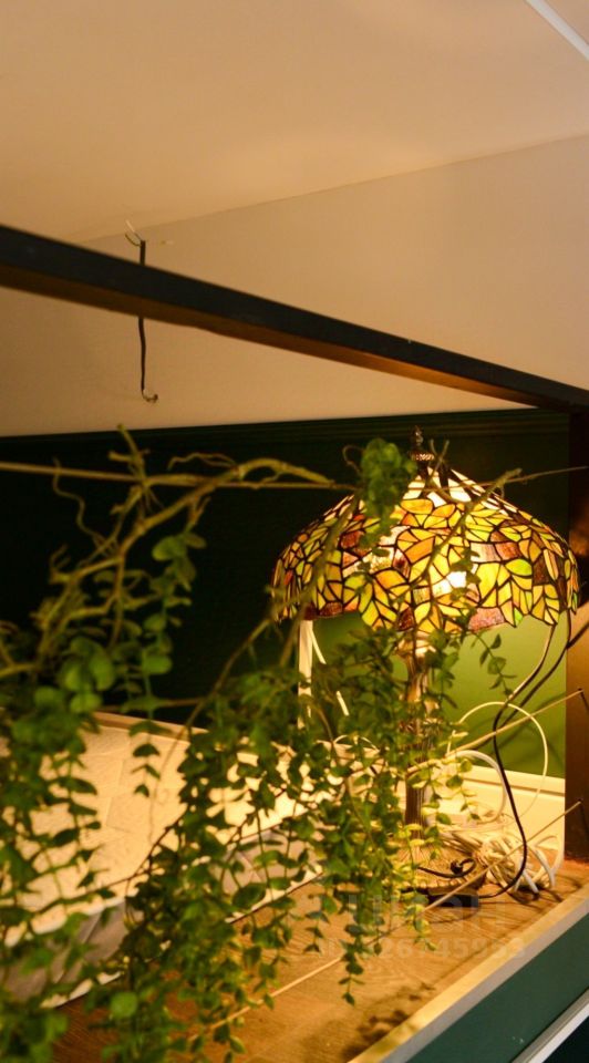 Продажа студии улица Марата, 73