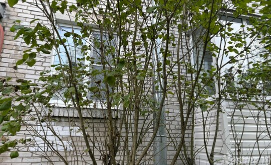 Продажа 2-комн квартиры на вторичном рынке Суворовская улица,  д. 13