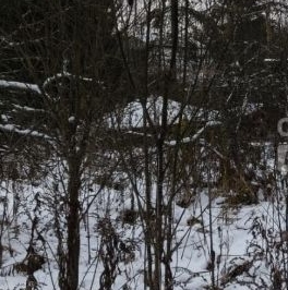 Продажа земли Рубеж массив, Олень СНТ, 1-я линия, д. 5 Продажа земли Рубеж массив, Олень СНТ, 1-я линия, д. 5