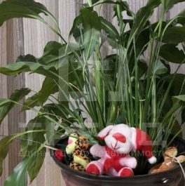 Продажа 3-комн квартиры на вторичном рынке улица Карпинского,  д. 26