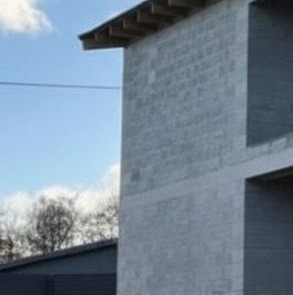 Продажа дома Новое Токсово СНТ