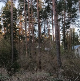 Продажа дома Токсово пос., Большая аллея, д. 12 Продажа дома Токсово пос., Большая аллея, д. 12