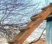 Продать Квартиры вторичка д. Пурлово, 4   