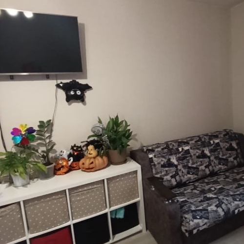 1-комн квартира Пулковская улица, 1к2