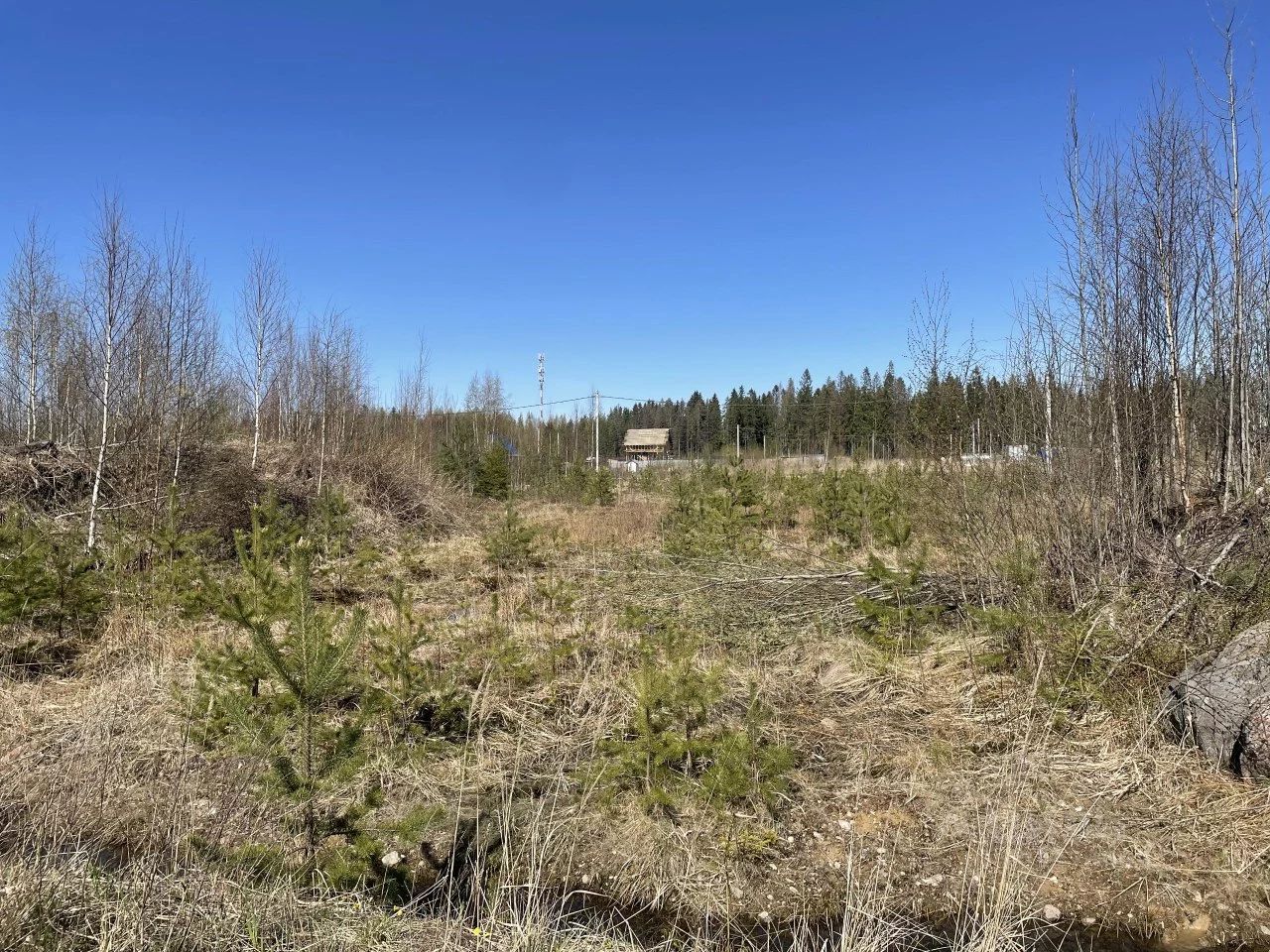 Продажа земли Фортуна кп, Сосновый Бор