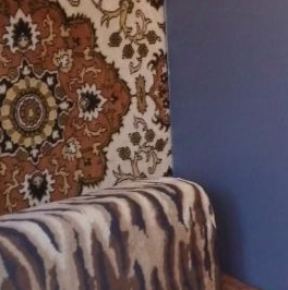 Аренда комнаты проспект Народного ополчения, 241К2 Аренда комнаты проспект Народного ополчения, 241К2