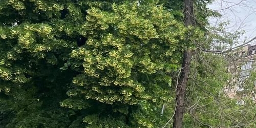 1-комн квартира 1-я Фрунзенская улица, 6